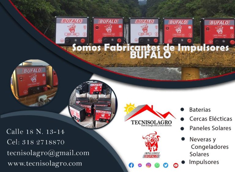 242565311 847990799092676 9184389199898311881 n 768x562