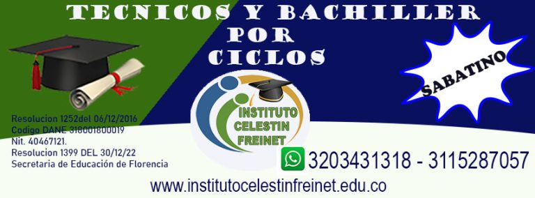 335104440 550439427067029 3879085938445246182 n 768x284