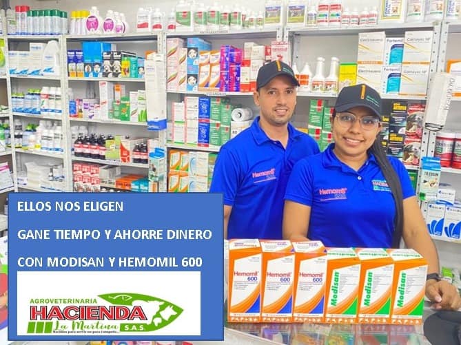 349108143 1415664949285671 4643740511833711146 n