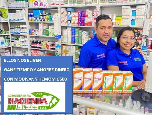 349600711 997884274705938 3785735751071779580 n