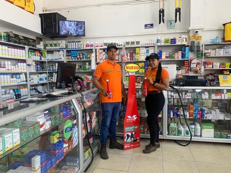 365436270 215082991531465 5112596887570844342 n 768x576