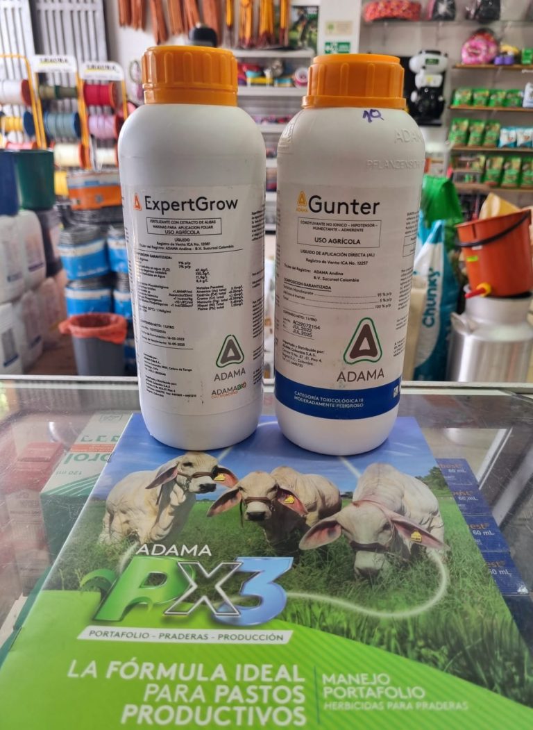 370673366 228092393563858 1344238567345042465 n 768x1051