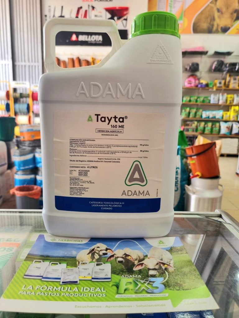 370774119 228092466897184 5342973258655756739 n 768x1024