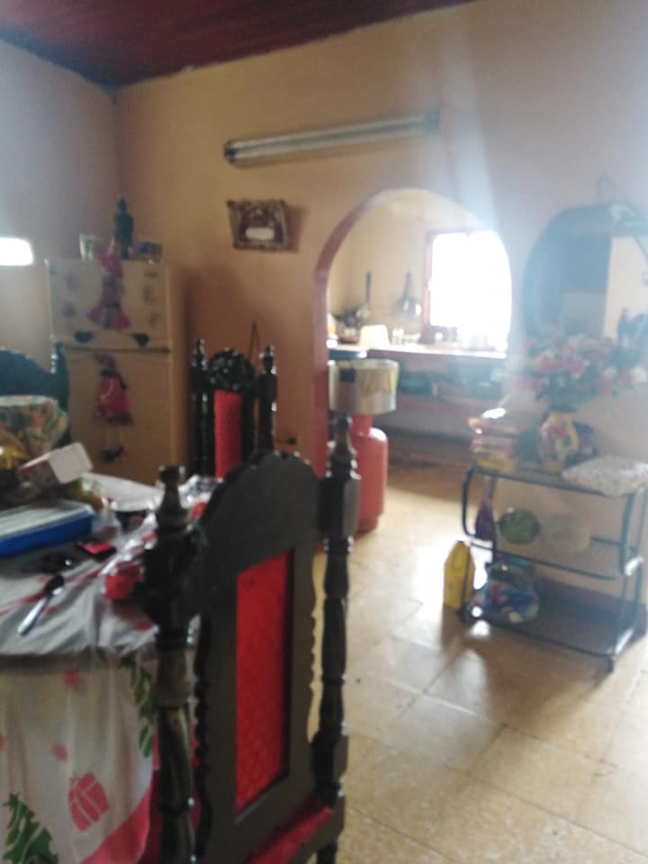 81024286 2304904909609036 3588796697406341120 n