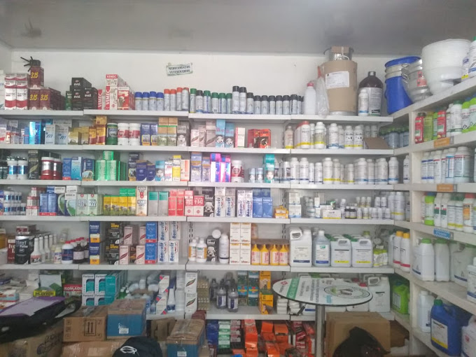 WhatsApp Image 2020 10 01 at 9.18.32 AM 1