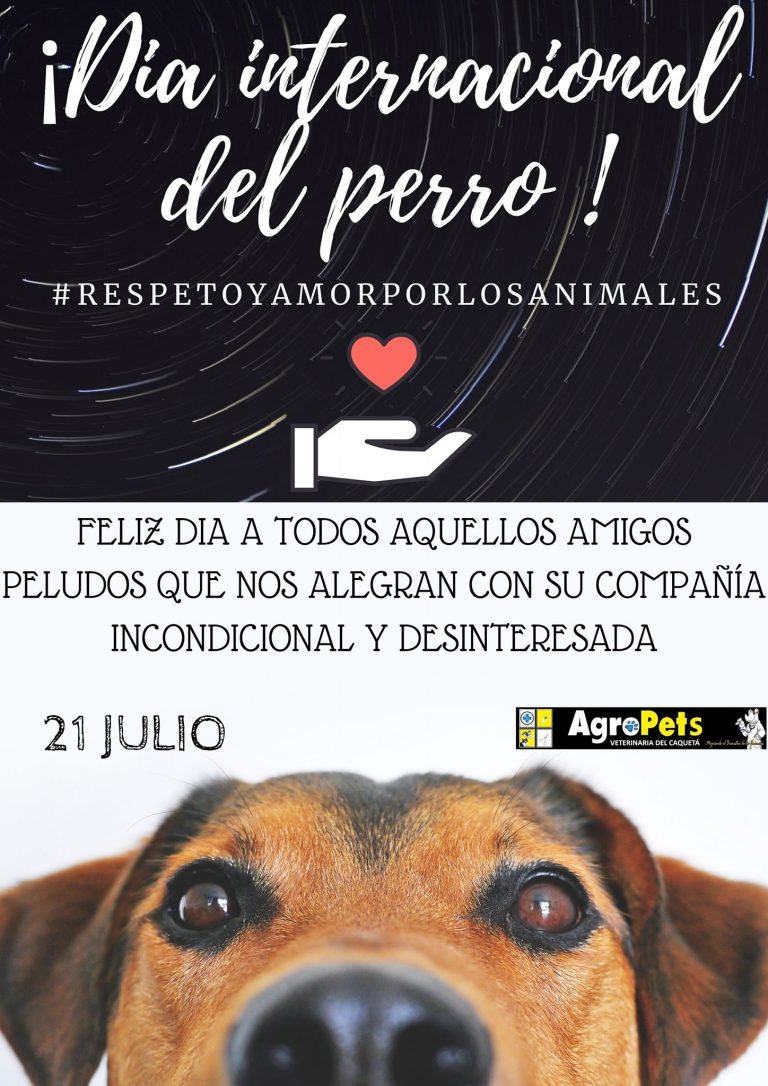 115607373 3156564047743417 3836221375220903479 n 768x1086