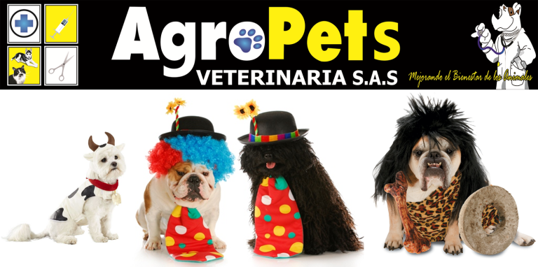 12052589 938645012868676 7590739987823005251 o 768x382