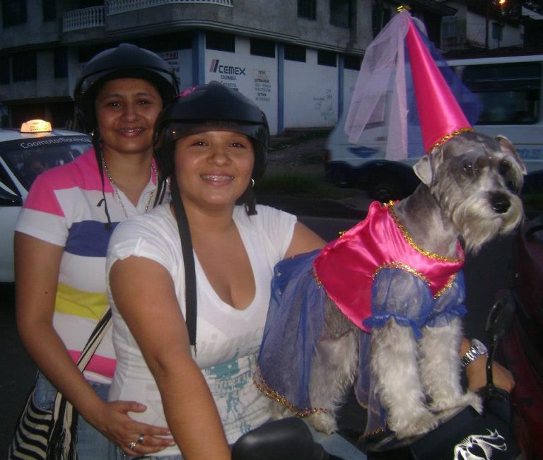 21244 413594542040395 268335843 n 768x651