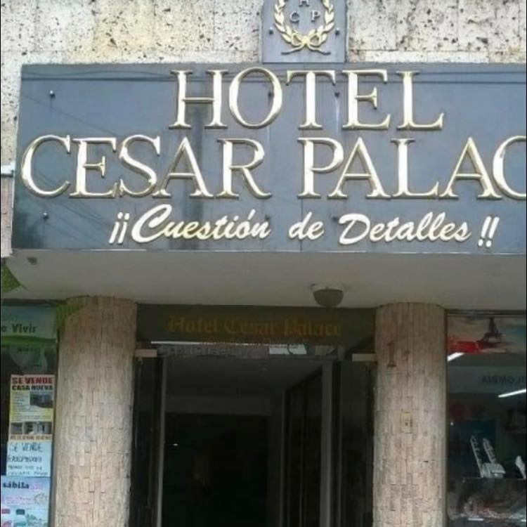 272040480 112698204639377 3271587231350496293 n