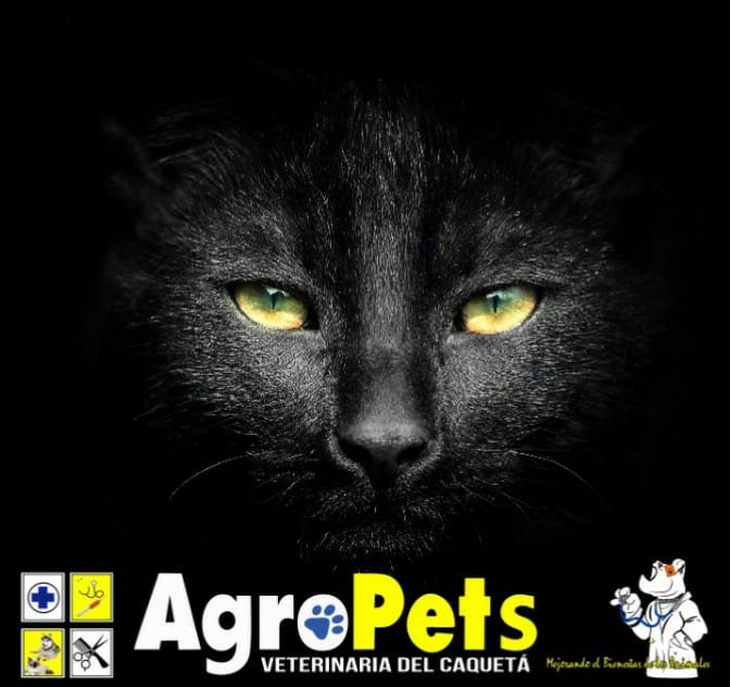 28576367 1657474884319015 1979367649939316477 n