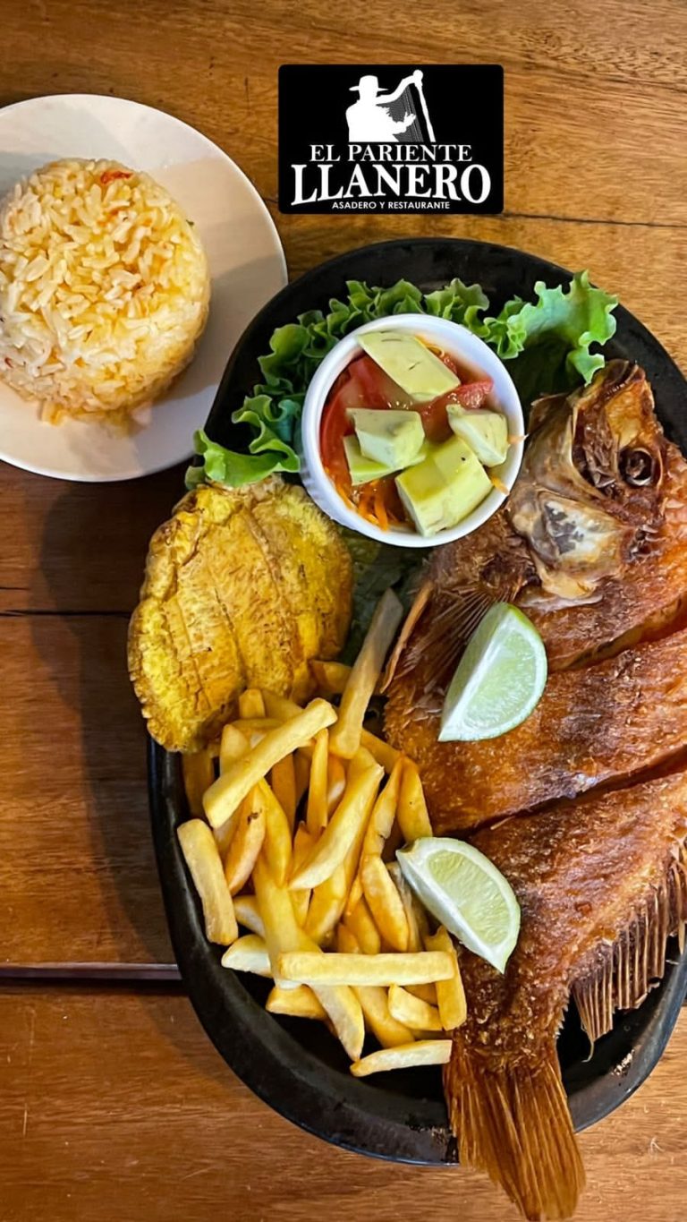 293951731 377913737797672 7187399611031912636 n 768x1365