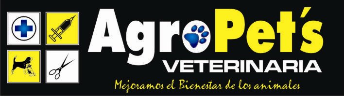 304475720 490194099782832 6549571037164946954 n 1