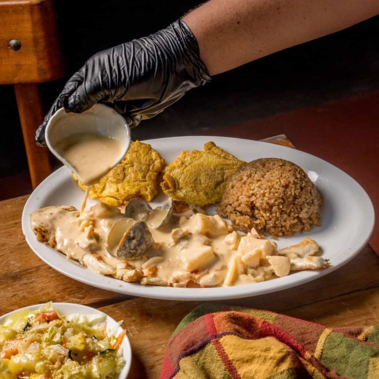 362db1a8 65eb 46d8 841b 903ab6b1af3b 768x768