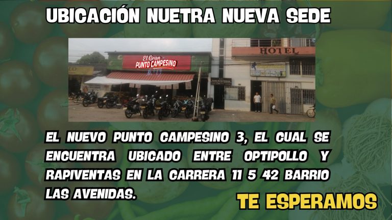 430578683 122159976608029065 328013828301760875 n 768x432