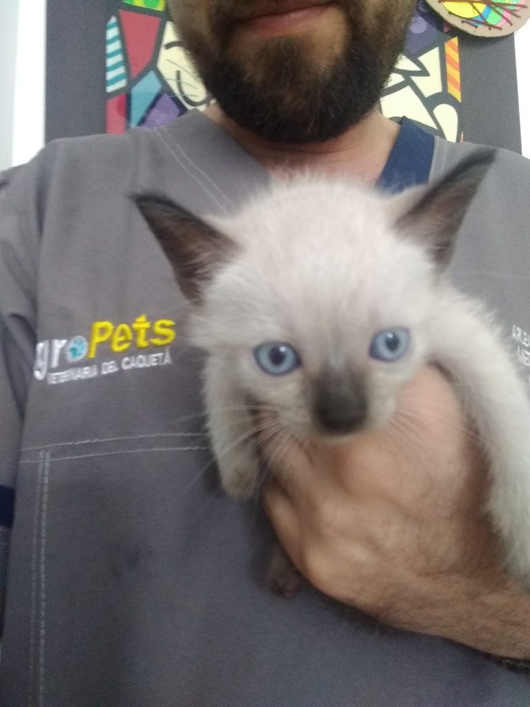 69757860 2438361602897002 4028653300441153536 n 768x1024