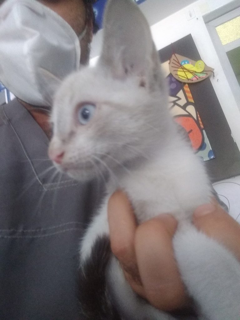 94212296 2928733280526496 8513386669783646208 n 768x1024