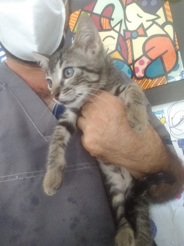 94519386 2928733030526521 7482511402536534016 n 768x1024