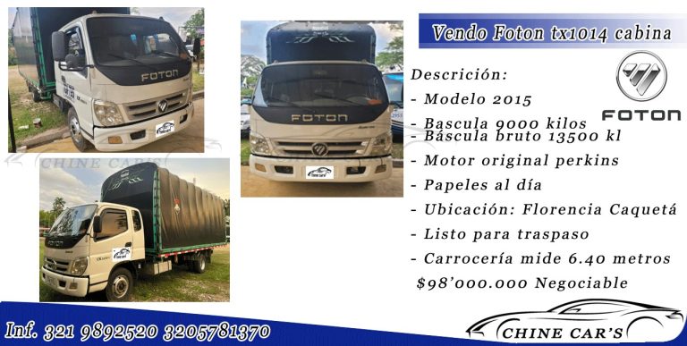 336037998 914900986398913 771686441068504850 n 768x387