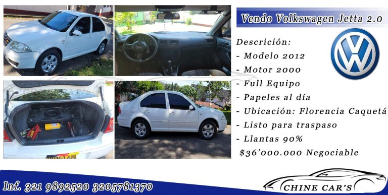 336038169 665002785387746 8547012587986377737 n 768x387