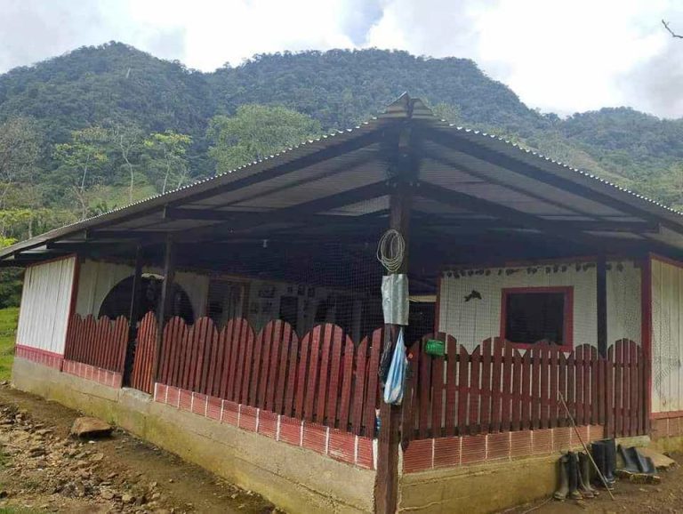 428194421 6475753195861166 815852402547910645 n 1 768x578