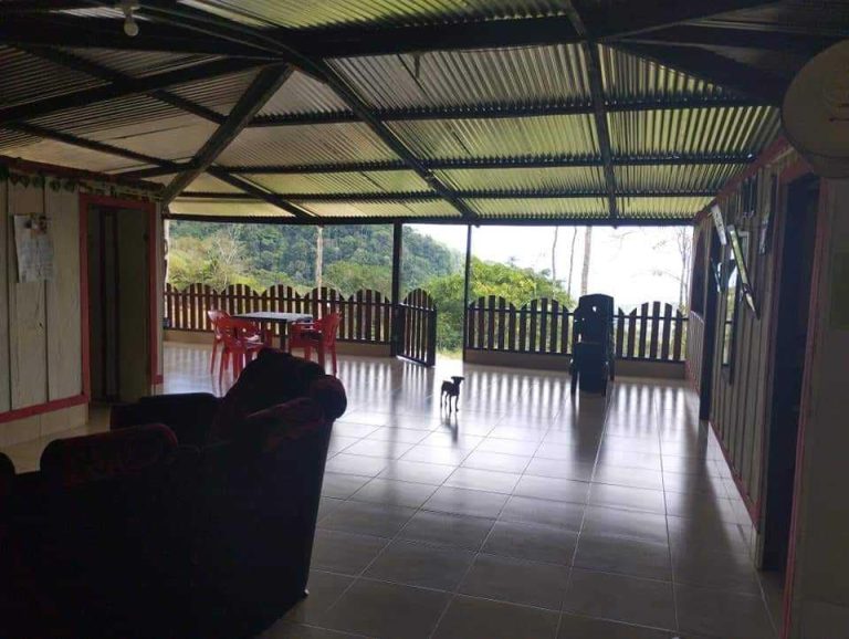 429282693 7602410979804268 6074805417963552889 n 768x578