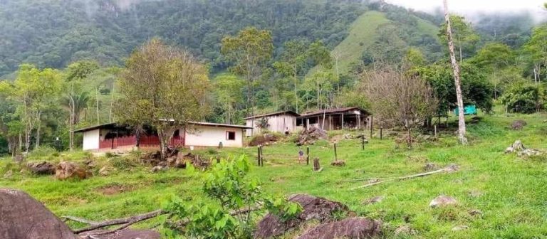 429465953 7492313874162921 2491330505957216936 n 768x336