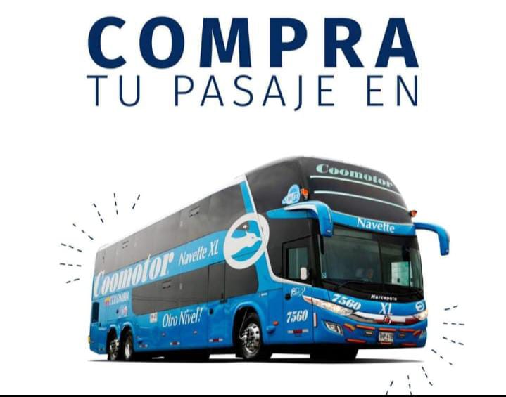 436255782 122096277476336979 1703513732885629404 n