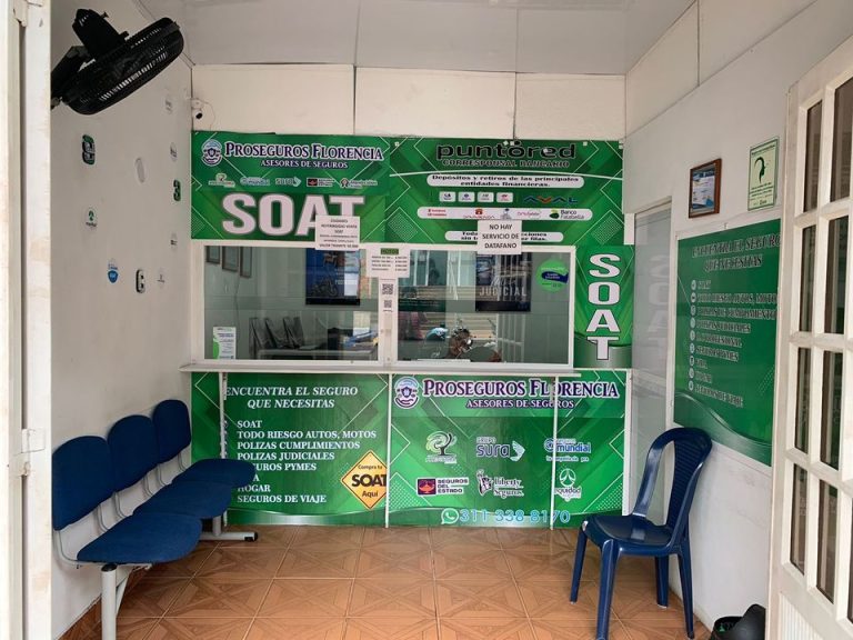 446926215 122104515086334711 8388351129231885997 n 768x576