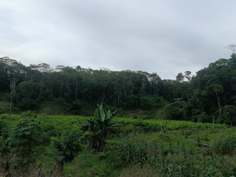 447964111 1613525326138911 576176926427851388 n 768x576