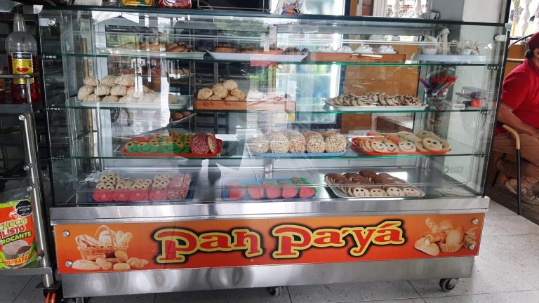 WhatsApp Image 2024 06 02 at 3.42.38 PM 768x432