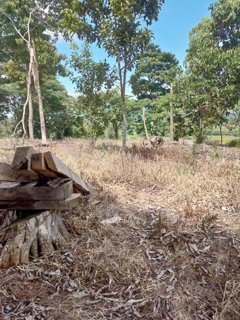 WhatsApp Image 2024 06 21 at 3.38.43 PM 1 768x1024