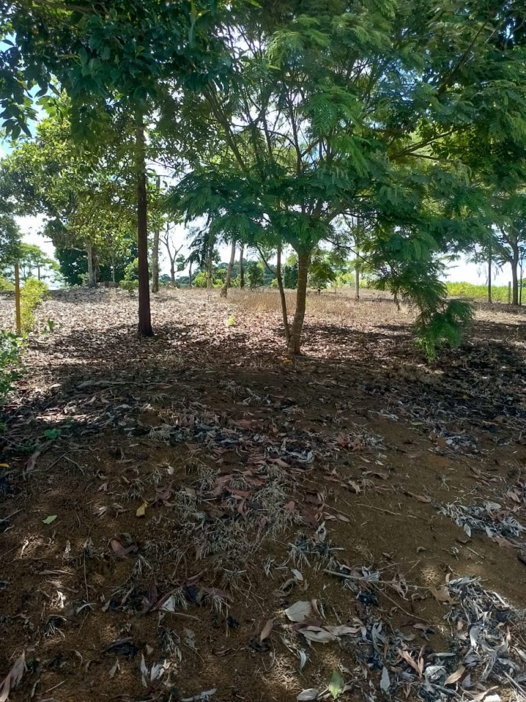 WhatsApp Image 2024 06 21 at 3.38.43 PM 2 768x1024