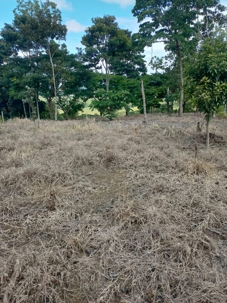 WhatsApp Image 2024 06 21 at 3.38.43 PM 4 768x1024