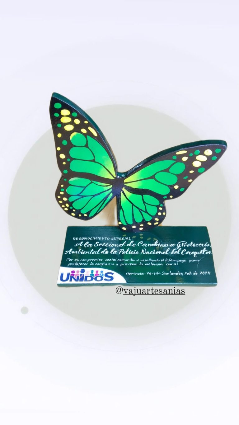 425906320 396447793061705 8598746770956651172 n 768x1365