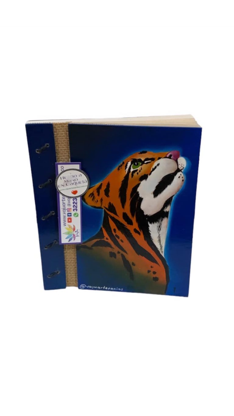 453997055 506549608718189 7496746459726715003 n 768x1365