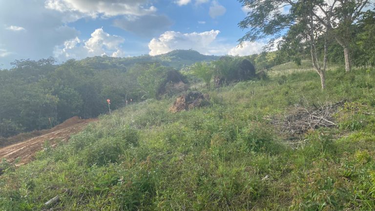 WhatsApp Image 2025 12 18 at 1.08.37 PM 1 768x432