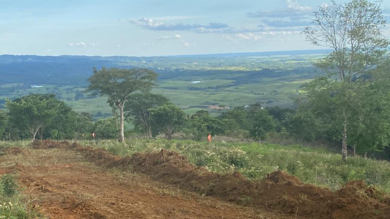 WhatsApp Image 2025 12 18 at 1.08.38 PM 1 768x432