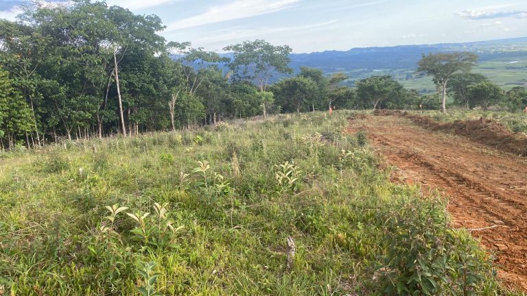 WhatsApp Image 2025 12 18 at 1.08.38 PM 2 768x432