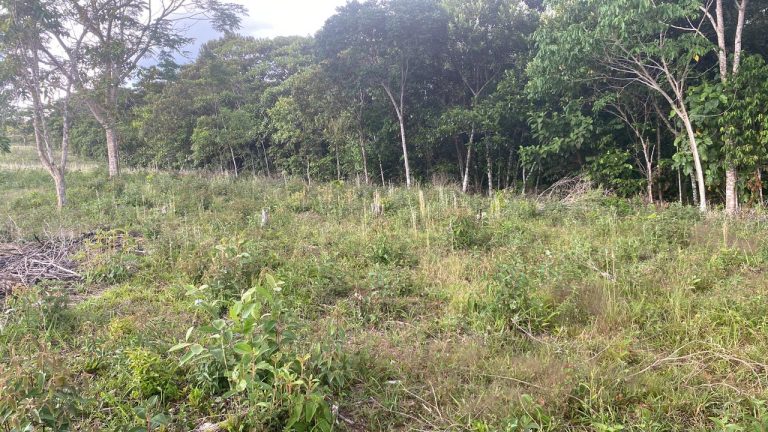 WhatsApp Image 2025 12 18 at 1.08.38 PM 768x432