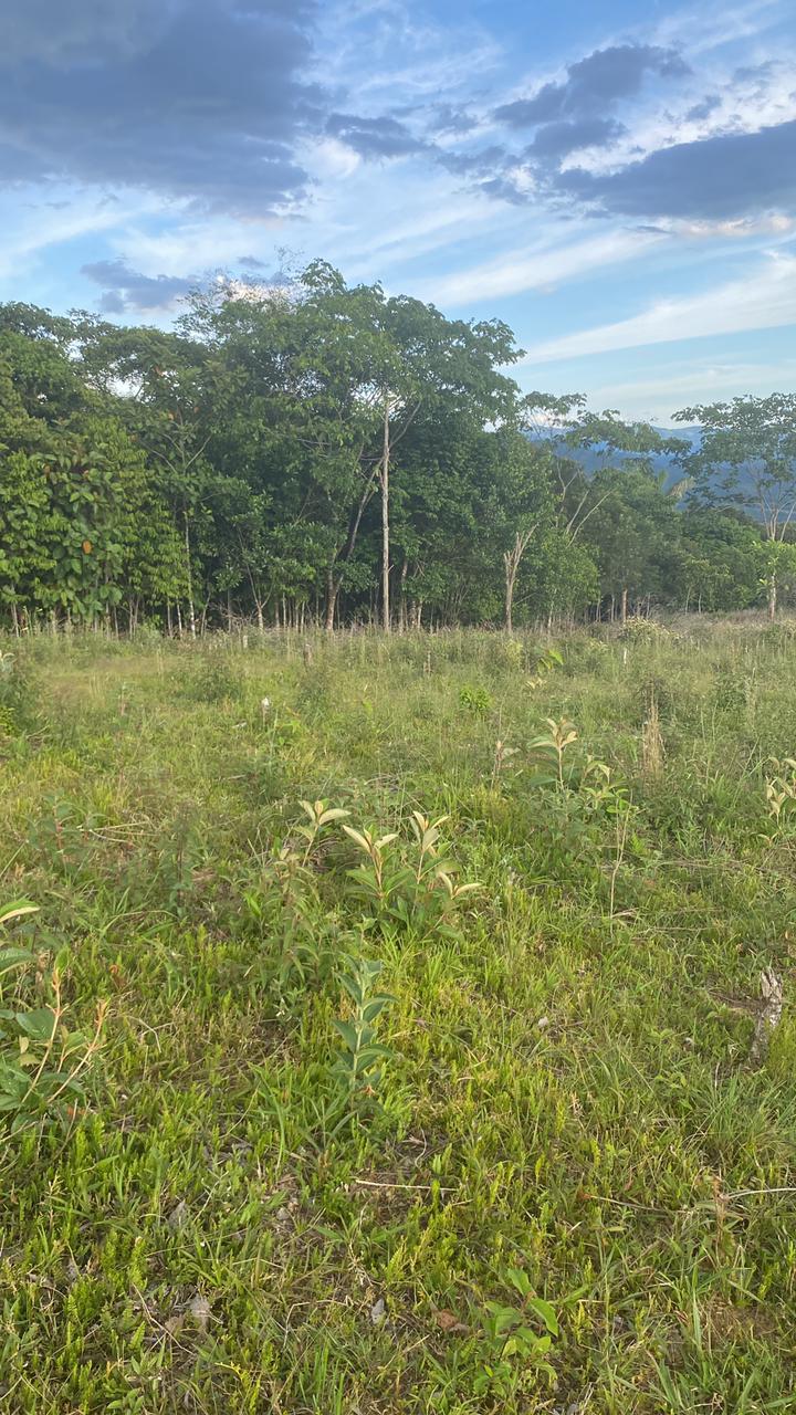 WhatsApp Image 2025 12 18 at 1.08.39 PM